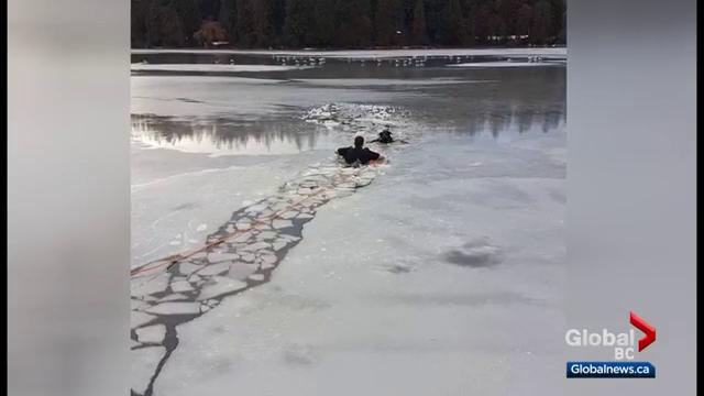 A police officer rescued a dog from Vancouver's Lost Lagoon.
