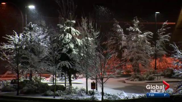 Snow fell in parts of Metro Vancouver on Sunday.