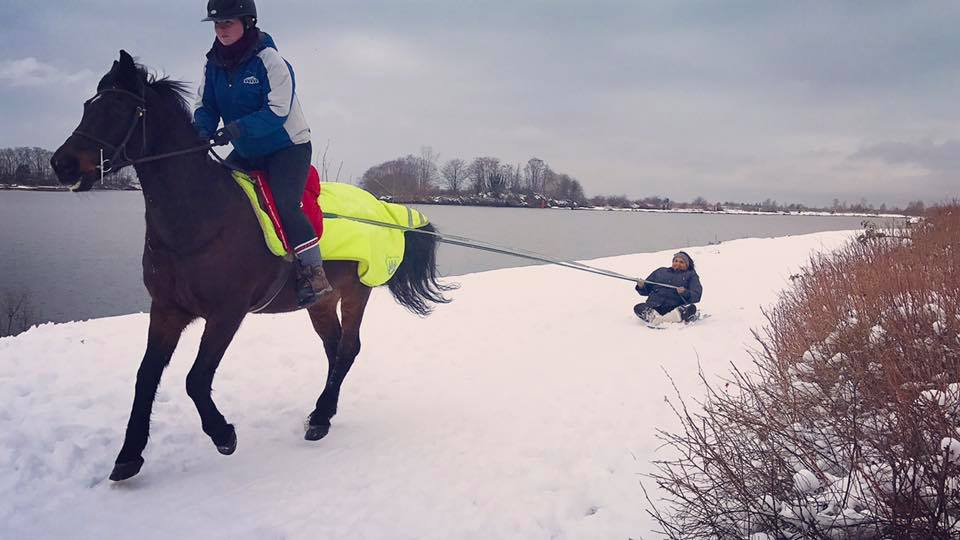 Southlands – Stephanie Elizabeth