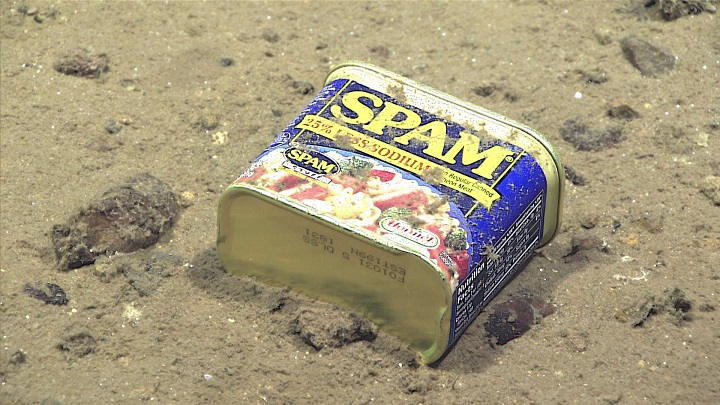 A container of Spam, seen resting at 4,947 meters on the slopes of a canyon leading to the Sirena Deep. (Courtesy of Noaa Office of Ocean Exploration).