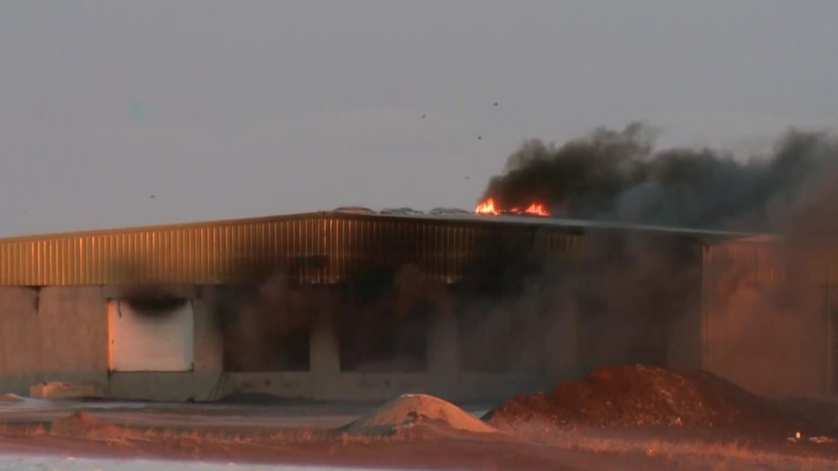 Crews battle blaze at fertilizer storage facility near Airdrie - image