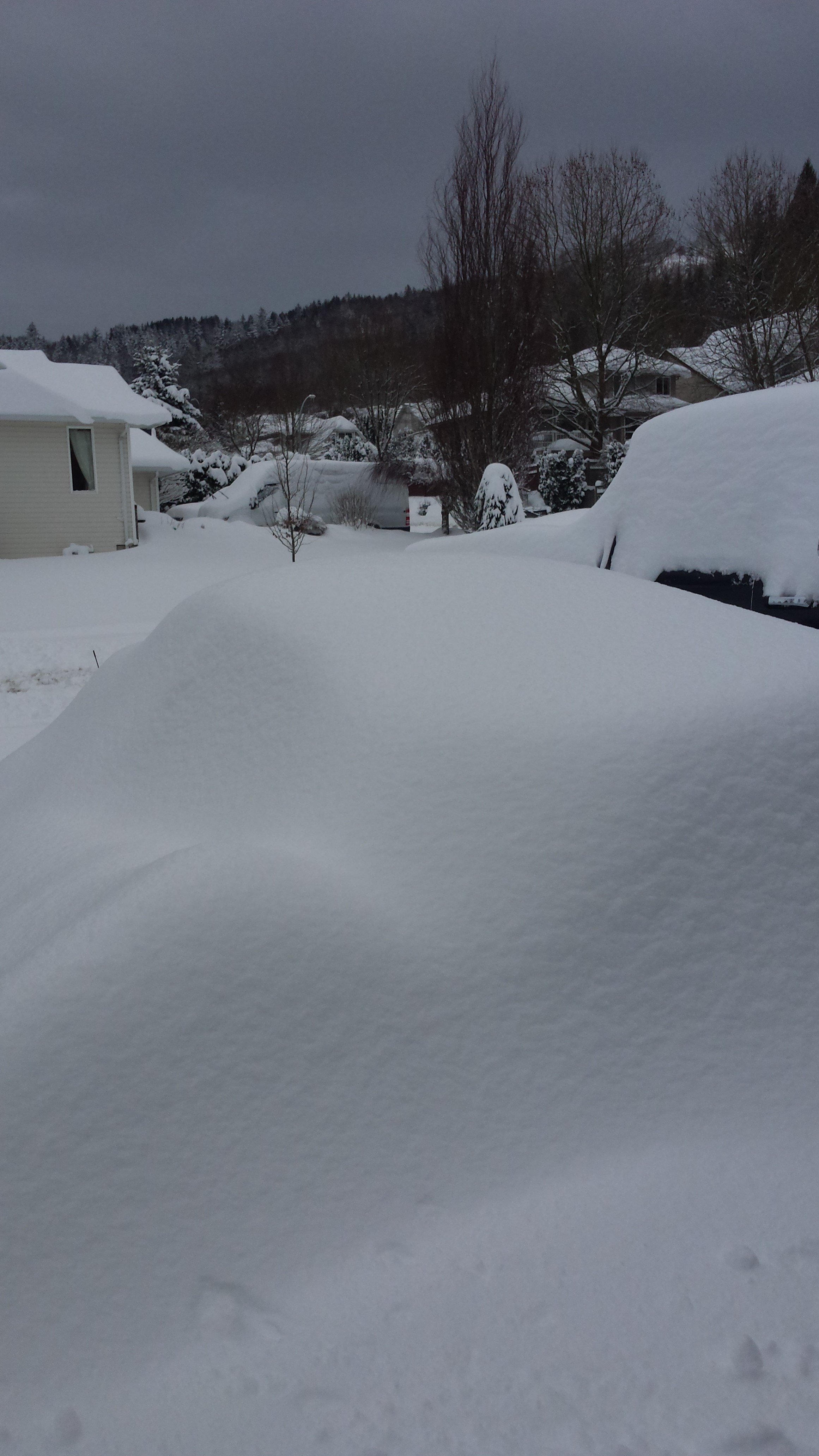 Chilliwack Digging Out Of Staggering 80cm Of Snow (PHOTOS) | Globalnews.ca