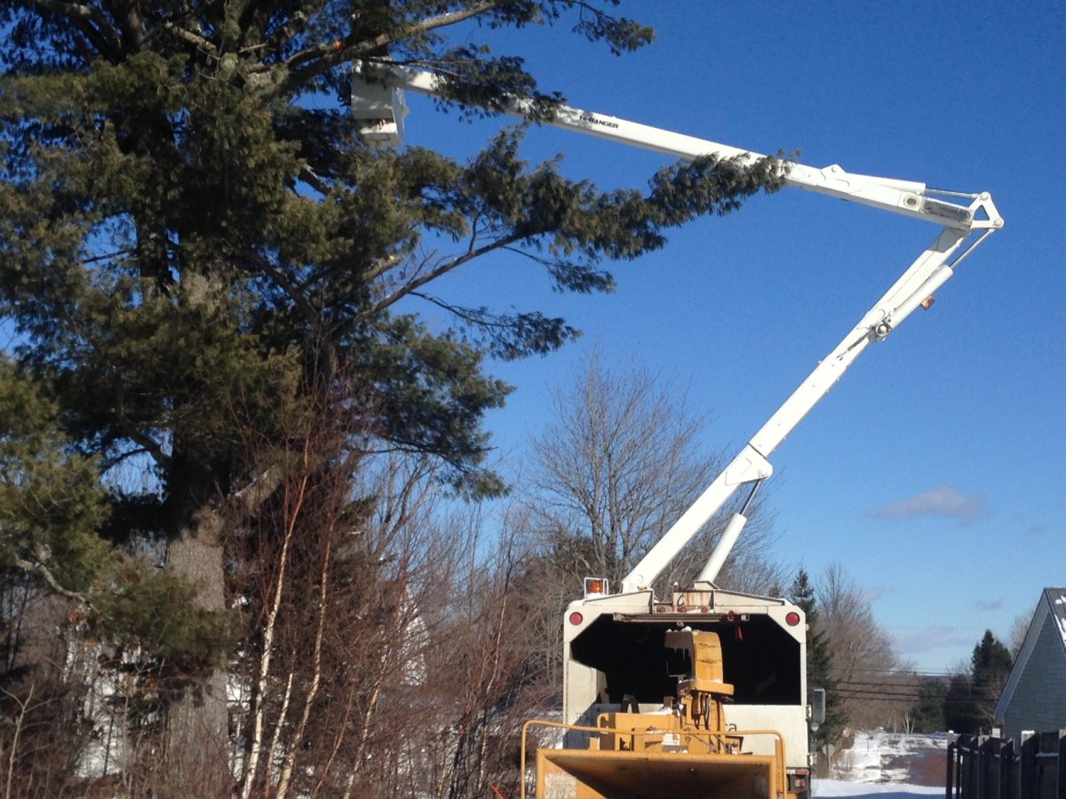 Arbor-Tech Tree Services clears away branches on Monday, Feb. 6, 2017 in Lower Coverdale, N.B. The tree branches were damaged  during January's ice storm that left thousands without power and brought down trees and branches across the province.
