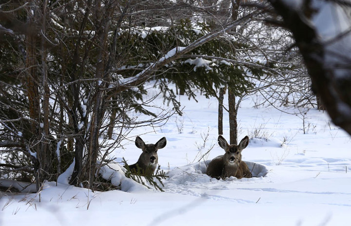 March 3: This Your Saskatchewan photo was taken by Bill Allen in Weyburn.