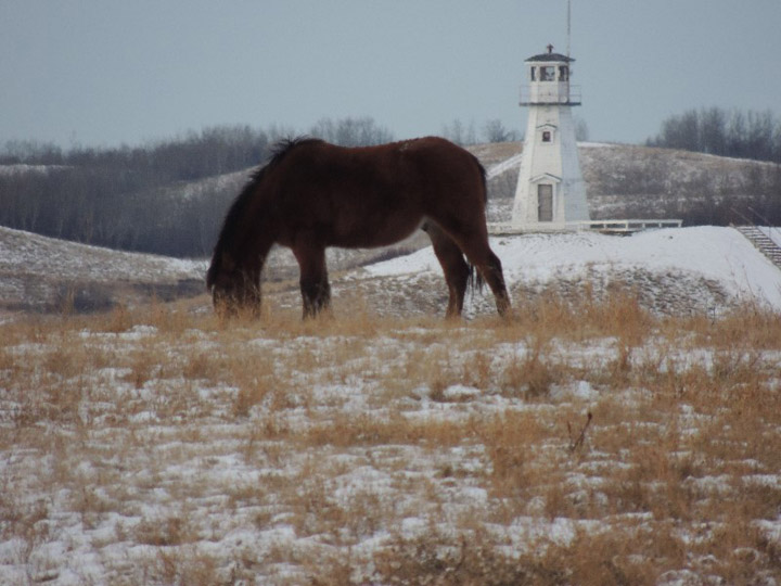 March 6: Carol Neabel took this Your Saskatchewan photo at Cochin.