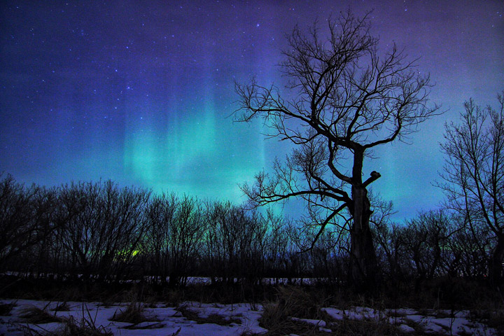 March 17: This Your Saskatchewan photo was taken just west of Saskatoon by Dale Evjen.