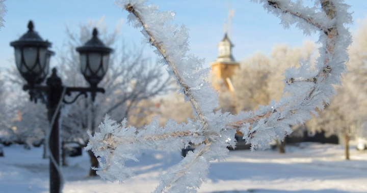 March 27: Lisa Frederick took this Your Saskatchewan photo in Milestone.