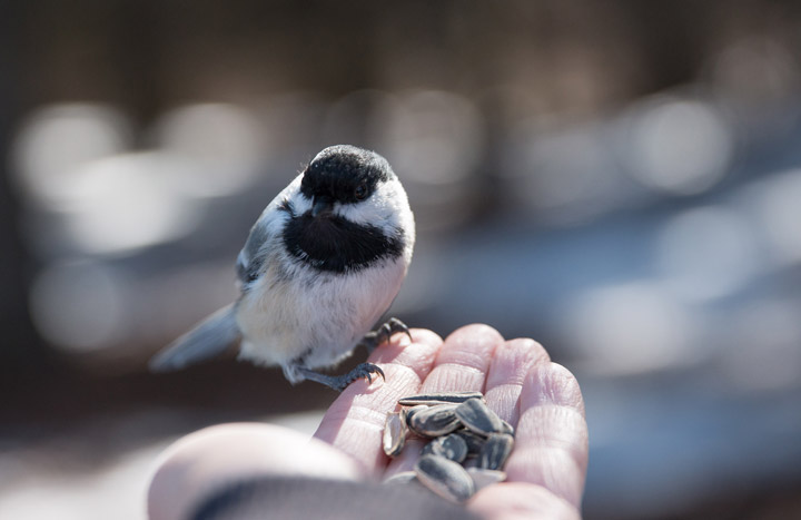 March 29: Melanie Gray took this Your Saskatchewan photo in Muenster.