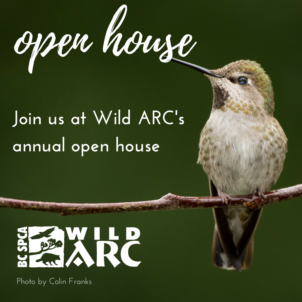 Bc Spca Wild Arc’s 13th Annual Open House - Globalnews Events