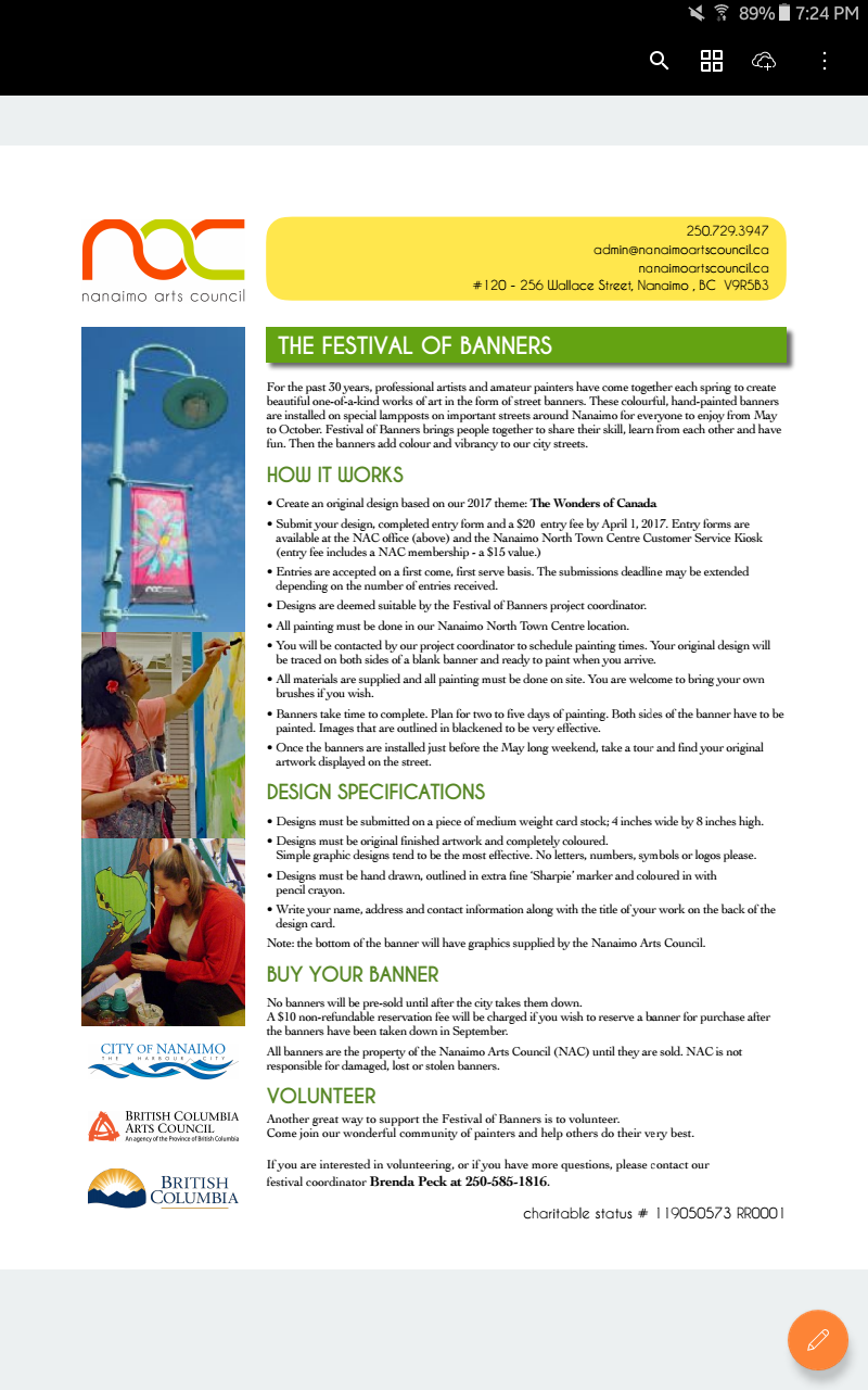 Festival of banners - image