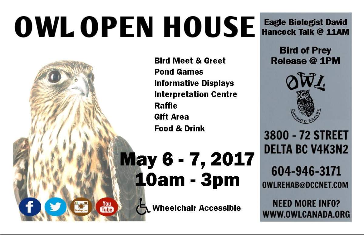 OWL Open House - image