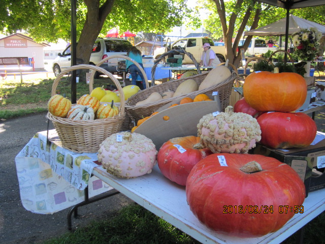 LUMBY SATURDAY MARKET - image