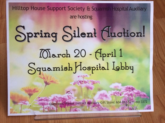 Spring Silent Auction - image