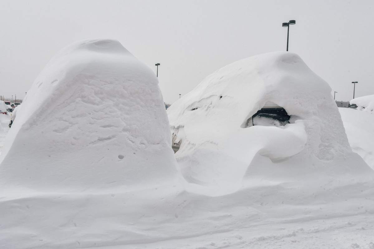 Snow-covered cars at Pierre Elliott Trudeau Airport, Thursday, March 16, 2017.