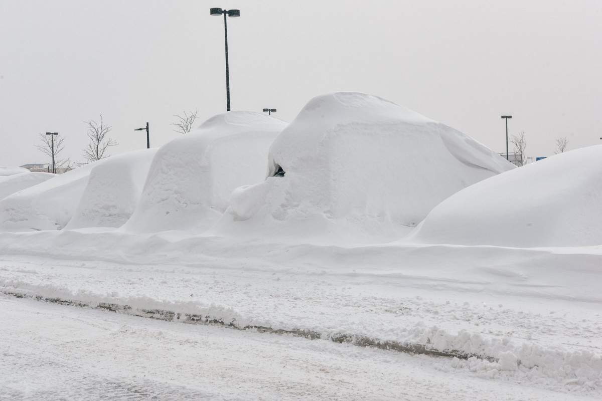 Snow-covered cars at Pierre Elliott Trudeau Airport, Thursday, March 16, 2017.