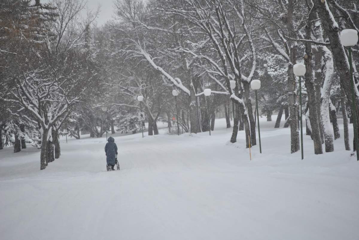 Arvind Sangalad captured a snowy day in Wascana Park.