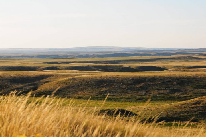 The Wideview Complex, situated between the two blocks of Grasslands National Park in Saskatchewan. The Nature Conservancy of Canada plans to turn a parcel of land near Dundurn into a protected grassland site.