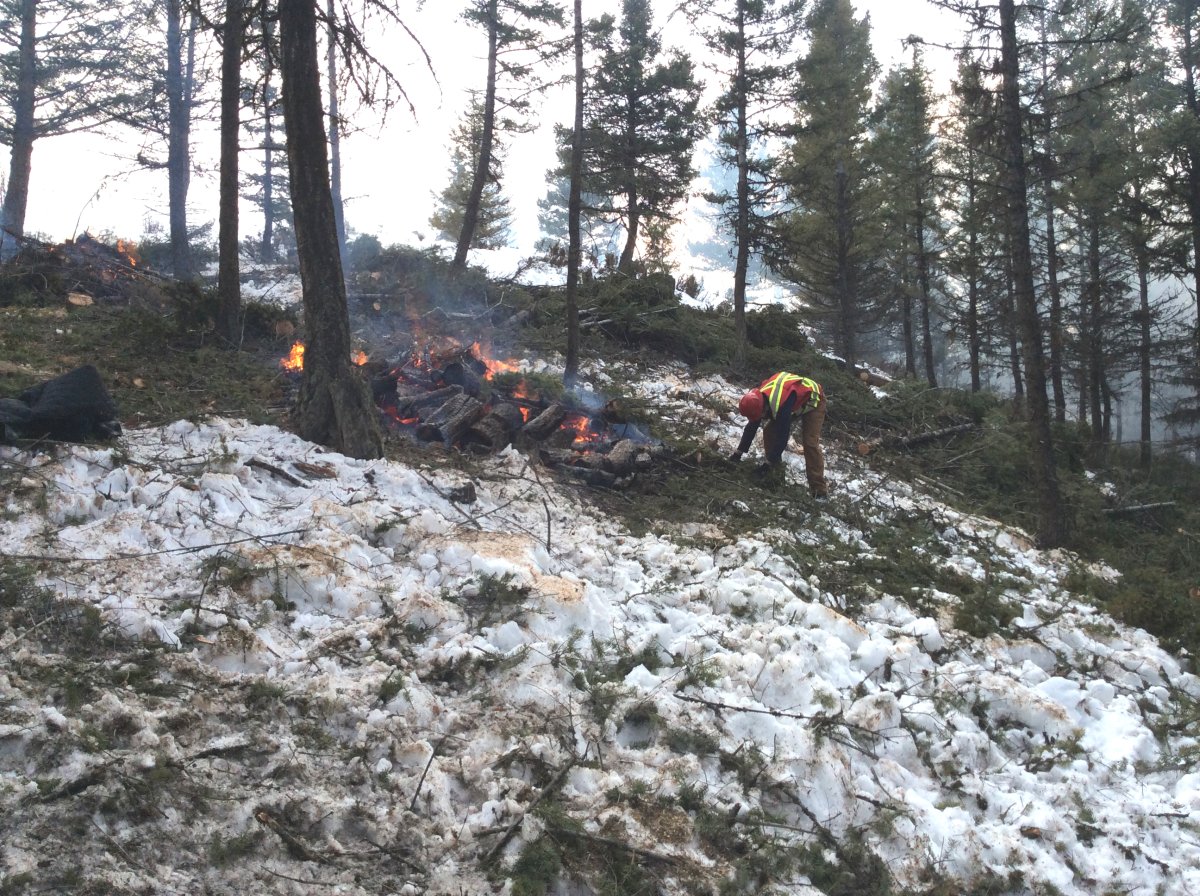 Open burning in Black Mountain Park - image
