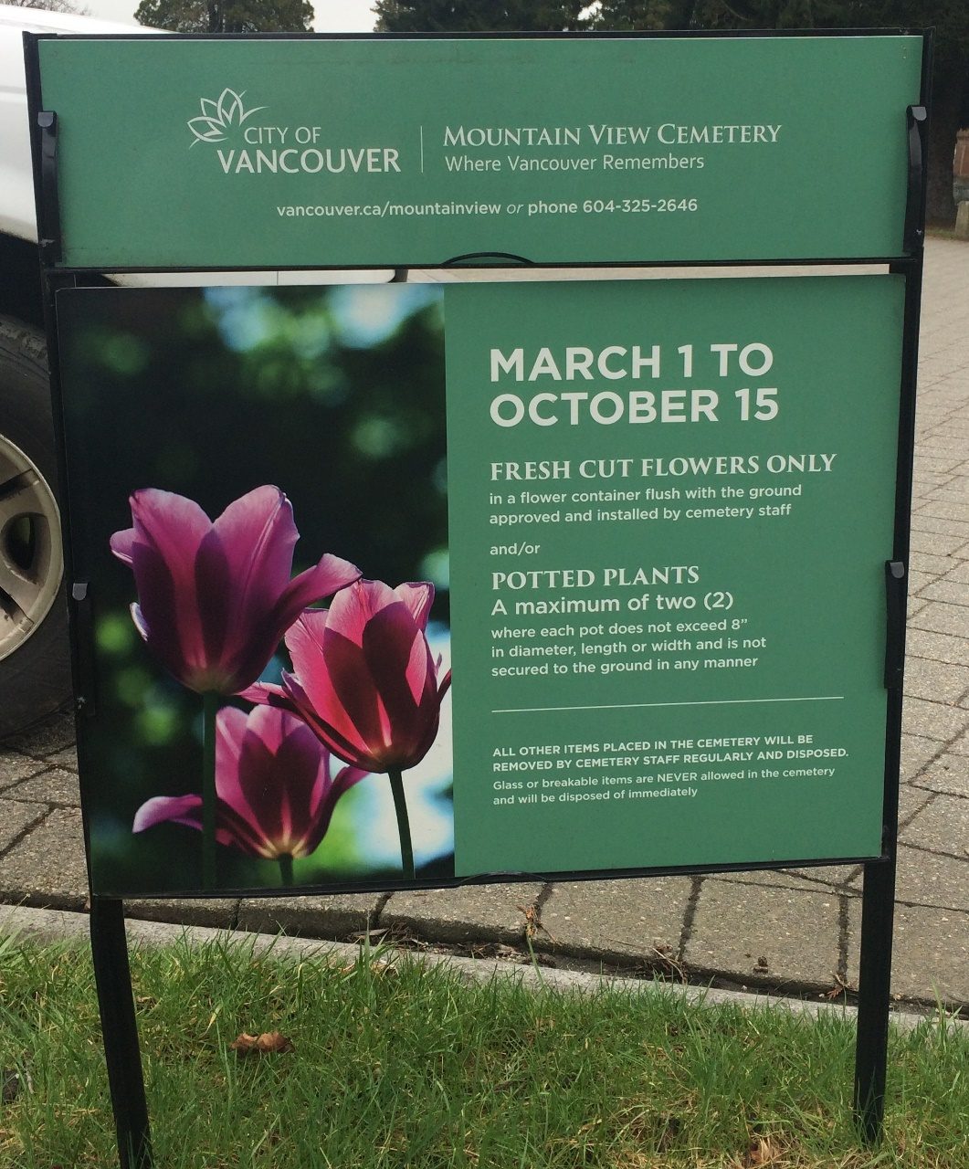 City removes beloved Lego figures from grave of 7-year-old cancer victim - image