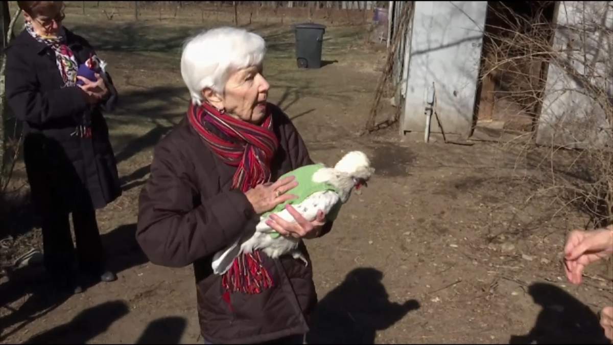 “There’s so much going on these days that’s kind of contentious in the world,” she said. “It was actually very calming to me to work on this.”