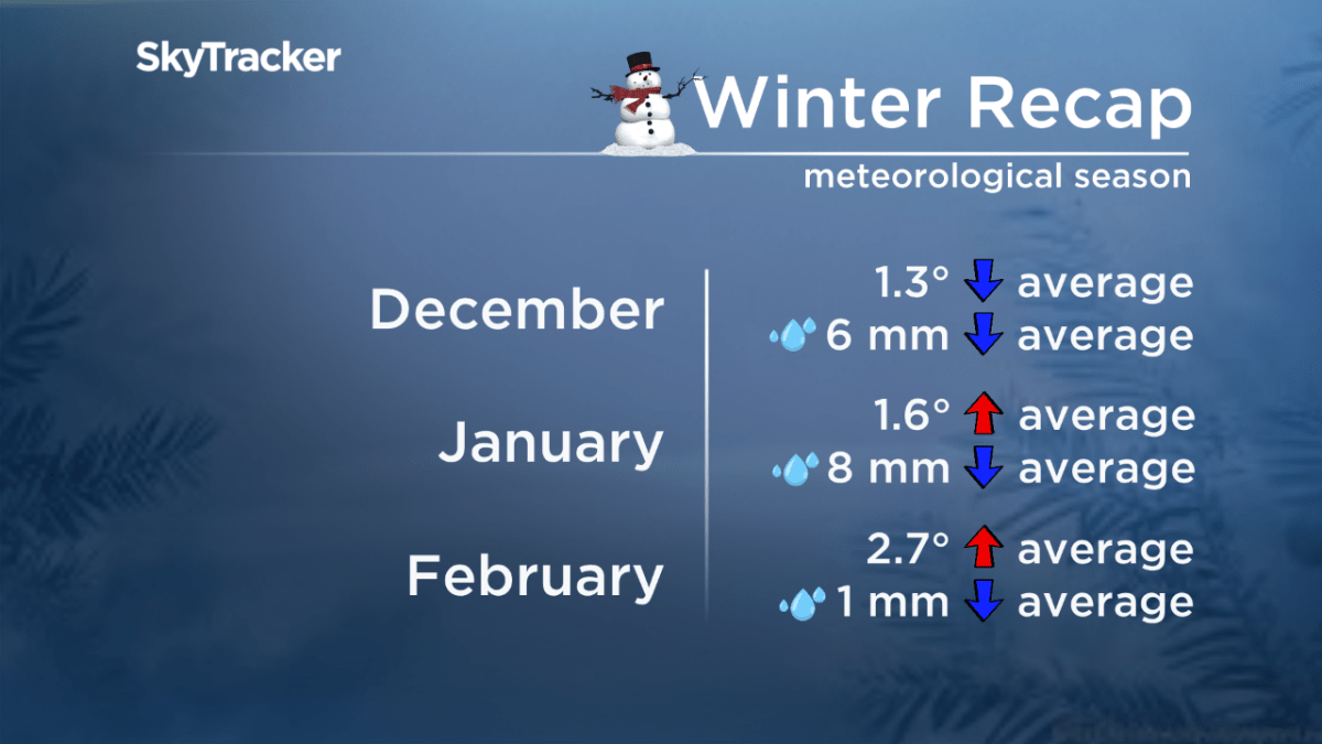 Winter season in Regina was warm and dry - image