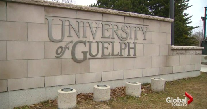 University of Guelph students’ privacy not violated by vaccine mandate: privacy commissioner