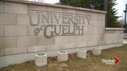 Continue reading: University of Guelph COVID-19 outbreak grows to 53 cases, heavier fines coming to students