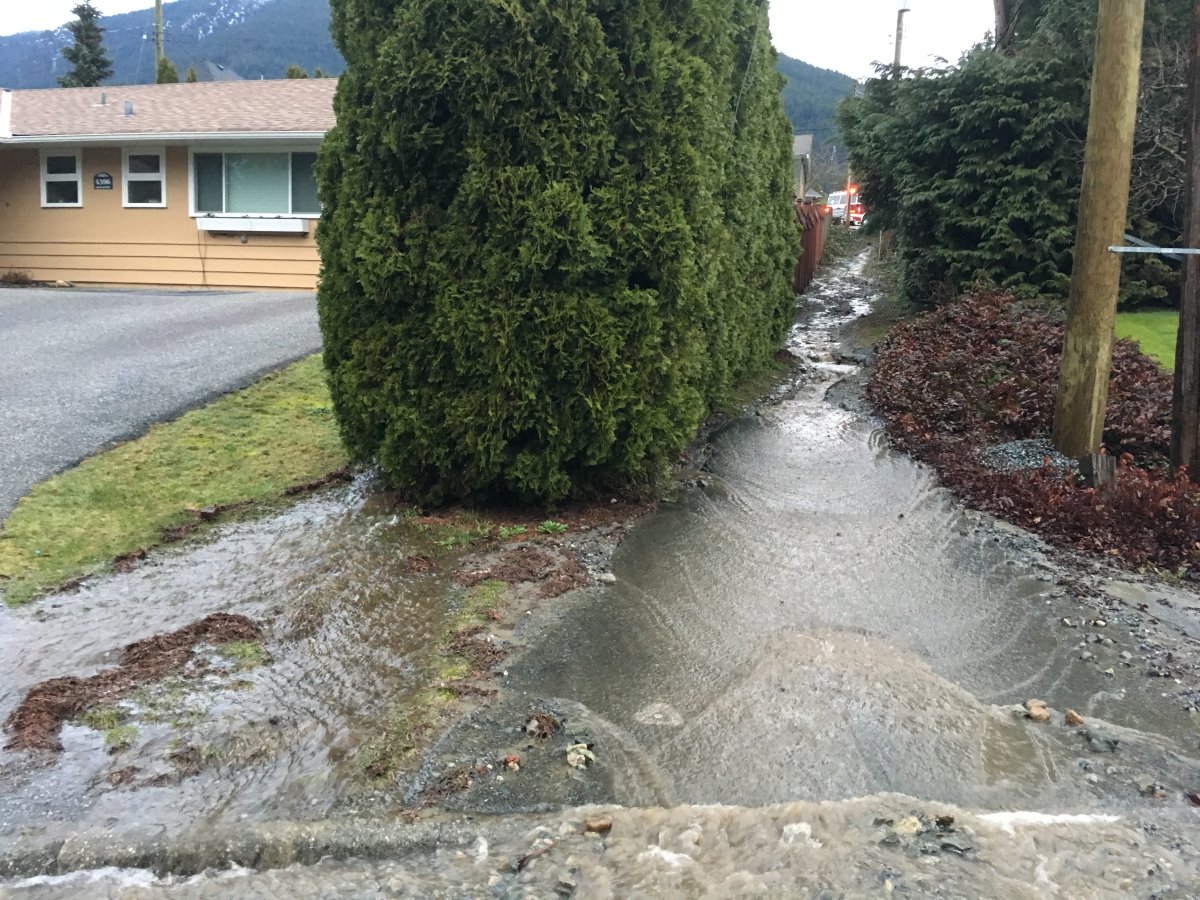 Homes flooded after car hits fire hydrant in North Vancouver - image