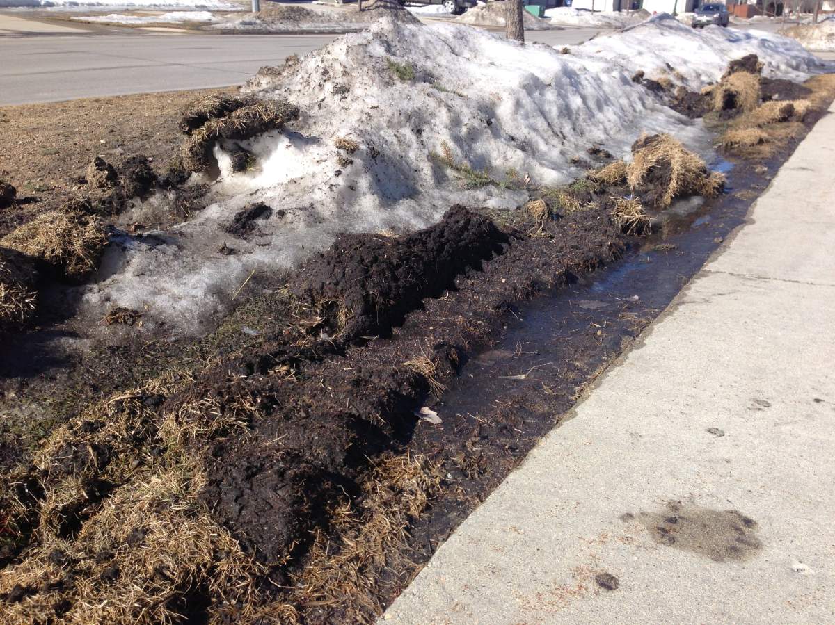 Melting snow is on the horizon as Winnipeg is expecting above-zero temperatures for the next few weeks.