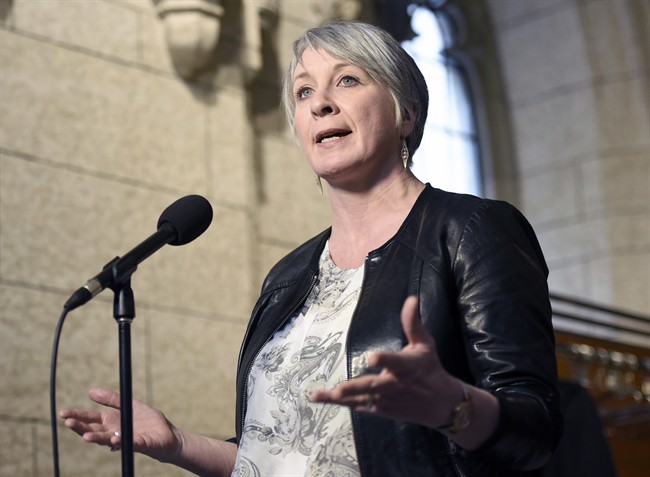 Minister of Employment, Workforce Development and Labour Patty Hajdu speaks to reporters on Parliament Hill in Ottawa, March 25, 2017.