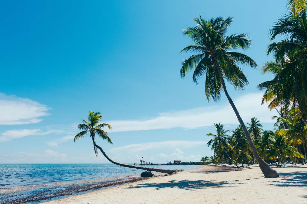 Beach with palm trees in the Florida Keys which a string of islands located south of Florida’s mainland.
