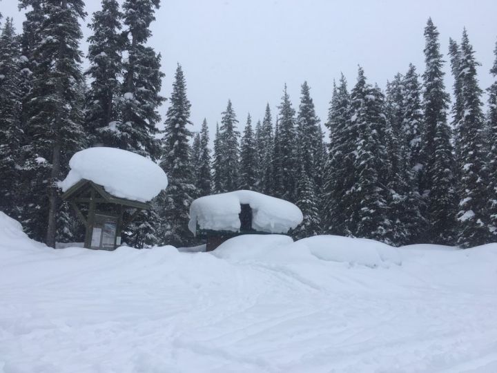 Lake Louise Resort says some facts will be refuted in court.