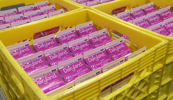 Starting in April, the Saskatchewan recycling program will include milk in the same model as other beverage containers accepted at SARCAN.