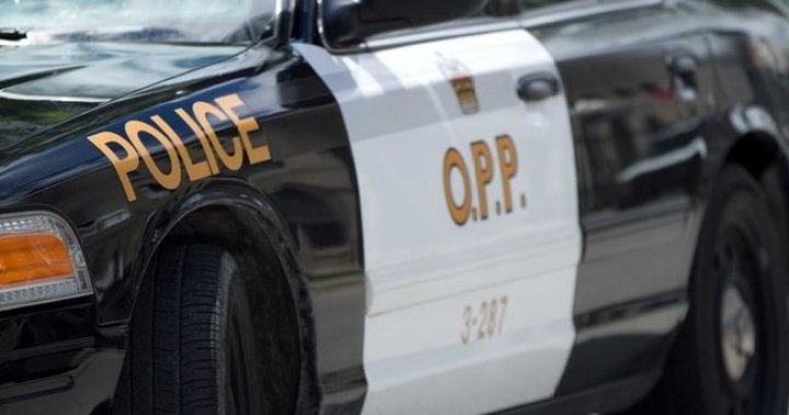 OPP разследва предполагаемо убийство в Лейкшор, Онтарио, 1 загинал