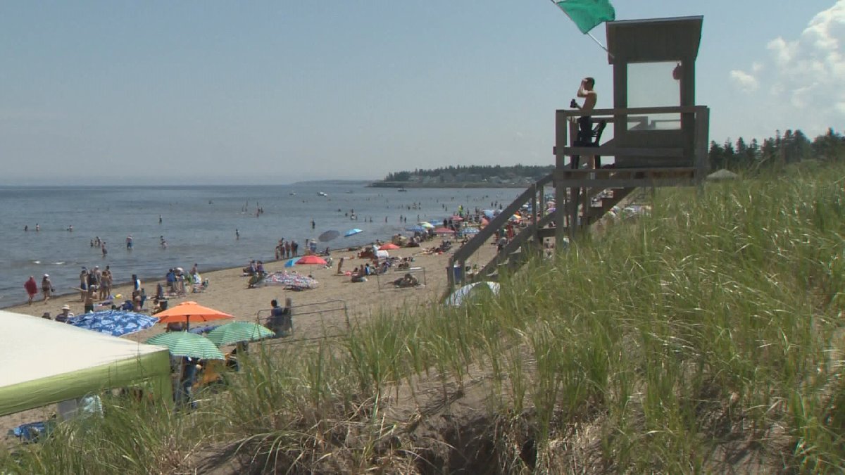 The N.B. environment minister said Parlee Beach is a major tourism draw and wants to restore public confidence that the beach is safe and clean.