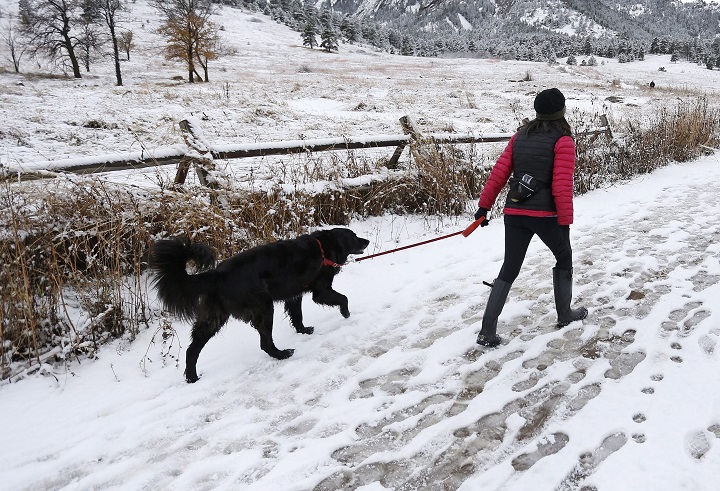 When they realized most women's shelters do not accept pets, Ottawa organization PetSafe set out to do something about the issue. 