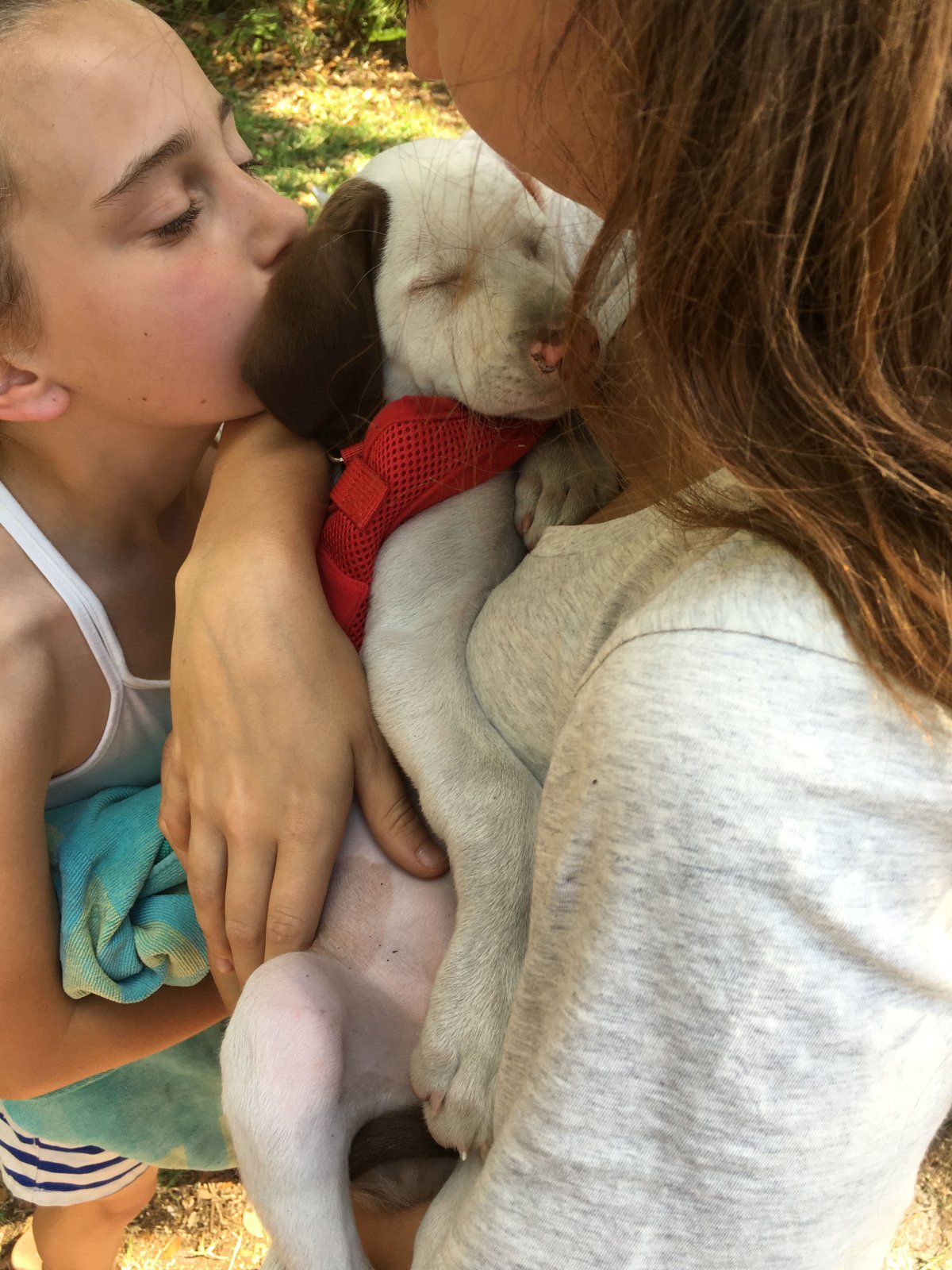 Being blind and deaf doesn’t stop this therapy dog from doing her job