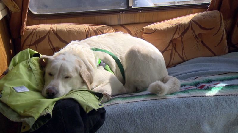 Calgary couple ditches home for RV tour of Canada - image