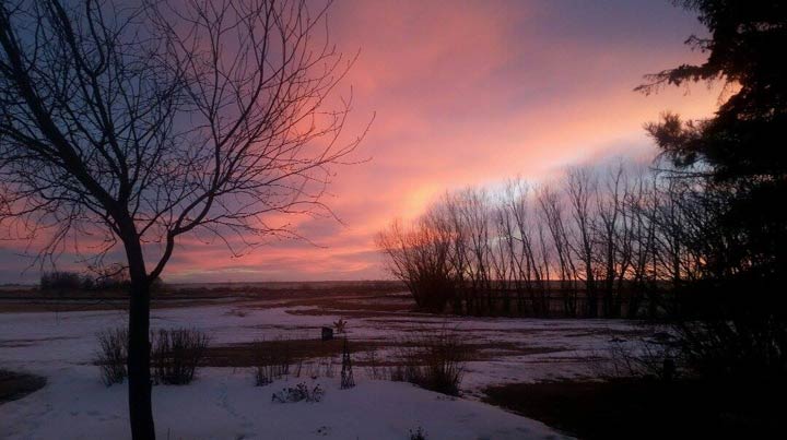 March 4: This Your Saskatchewan photo was taken by Bonnie-Lee Lewis at Allan.