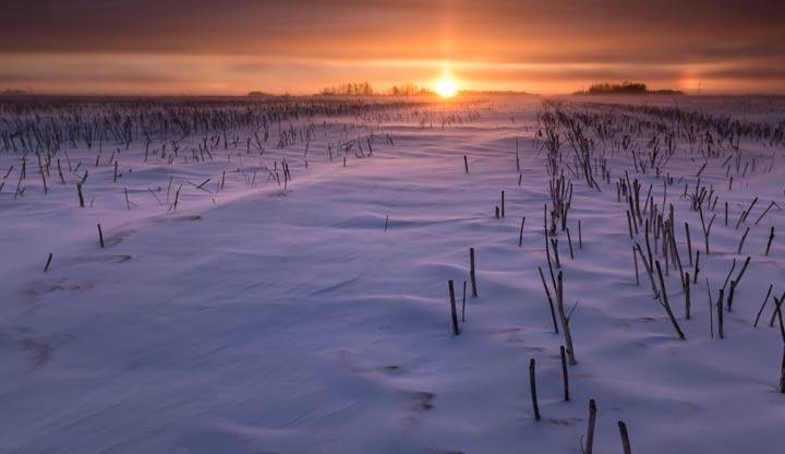 March 25: This Your Saskatchewan photo was taken by Marc Sarmiento near Saskatoon.