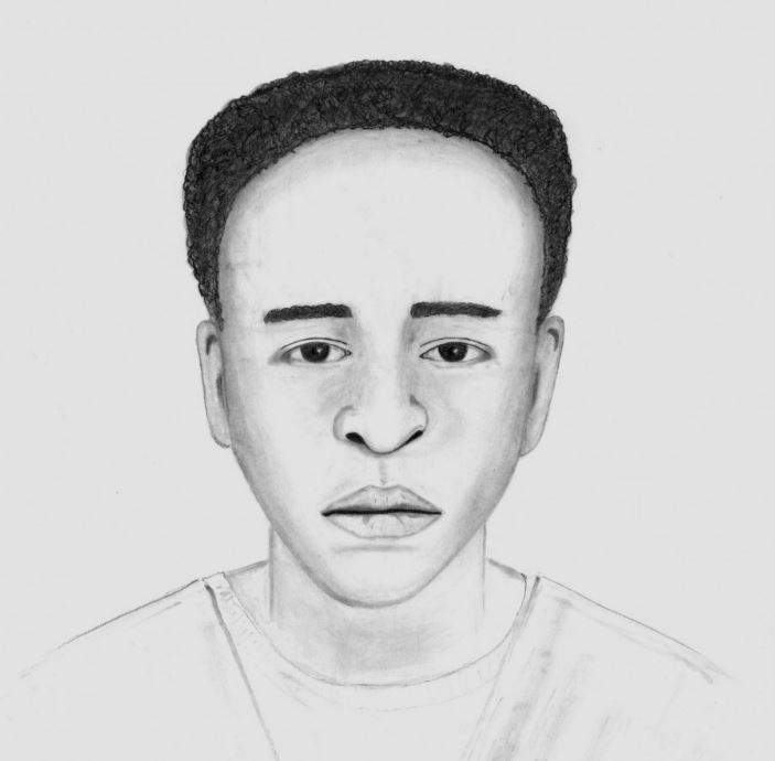 Calgary police release sketch of Castleridge shooting suspect - image