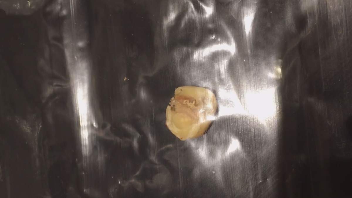 A still image taken from Dessilas’ video that she took of a nut she claims to have bought from Amira on Henri-Bourassa Boulevard.