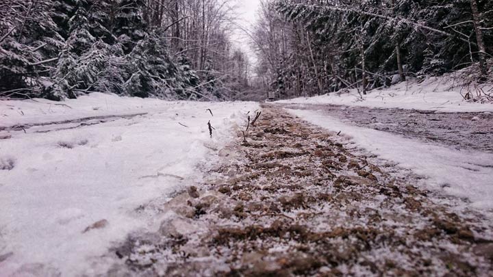 March 12: This Your Saskatchewan photo was taken by Devin Sauer near Elk Ridge.