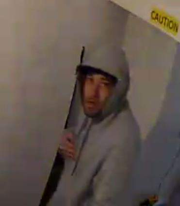Hamilton police investigating an attempted robbery at Locke Street ...