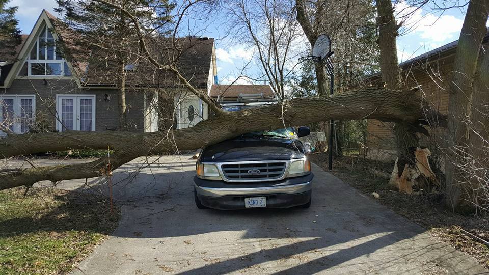While out to fix a roof damaged in heavy winds in London, a Kind Metal Roofing truck was damaged by a falling tree on March 8, 2017.