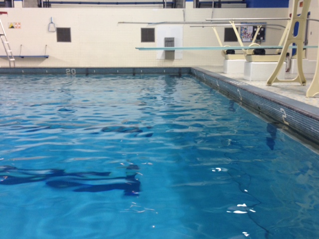 Fredericton announced  on Wednesday that it has partnered with the YMCA to explore the development of an indoor pool, field house and multi-purpose space for the region. .