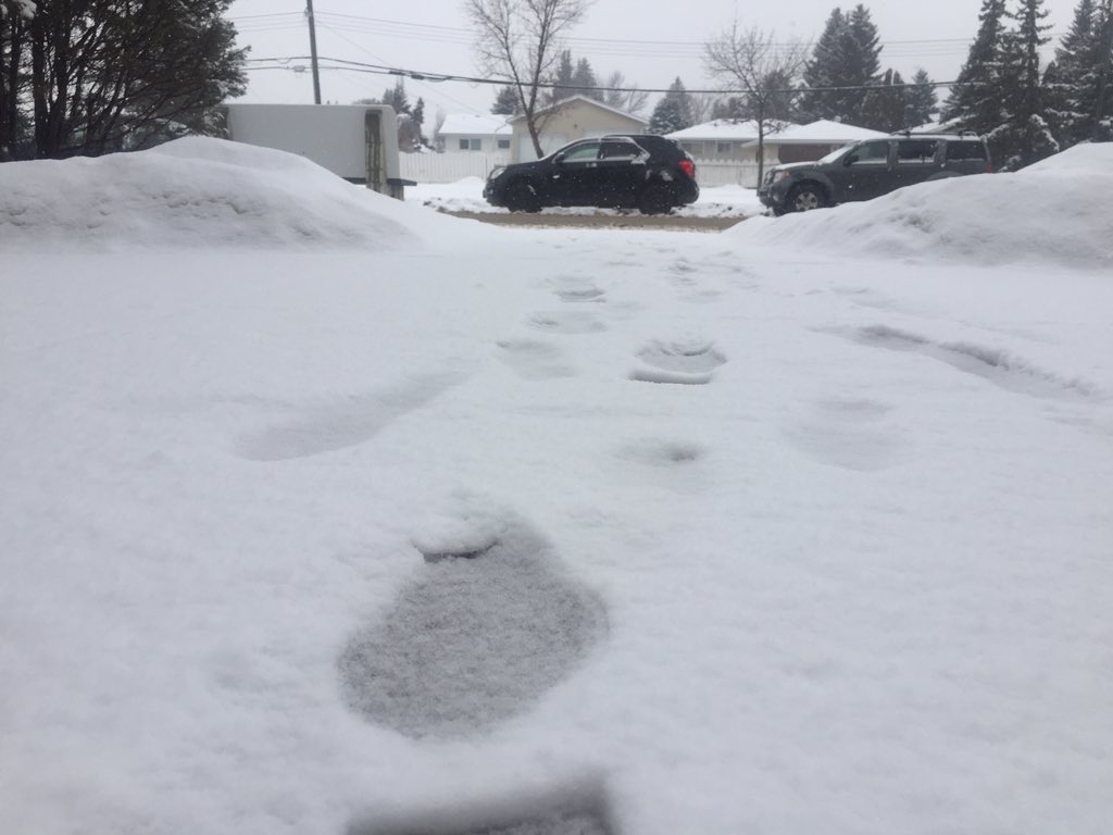 Slips and falls a concern in Edmonton after dump of wet snow - image