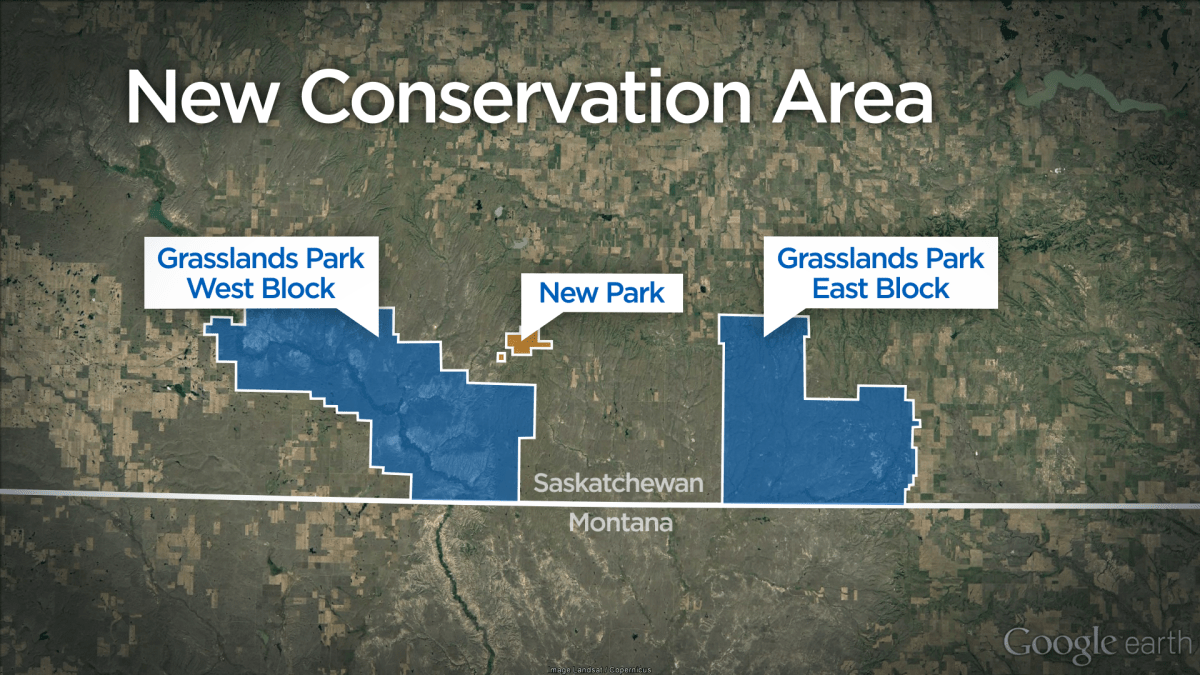 New conservation area aims to protect endangered grasslands in southern Sask. - image