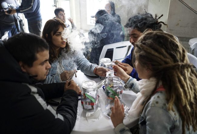 Competitors evaluate marijuana samples during the fifth annual Cannabis Cup competition in Montevideo, Uruguay, July 16, 2016.