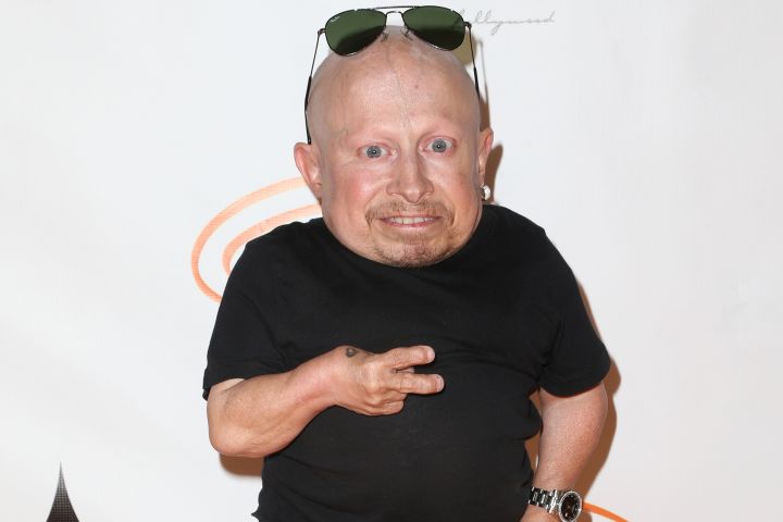 ‘Austin Powers’ star Verne Troyer hospitalized for alcohol addiction - image